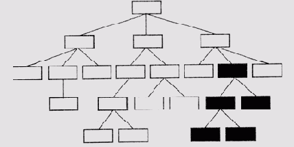     INTERNIST