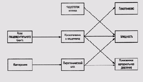 Графы, деревья и сети