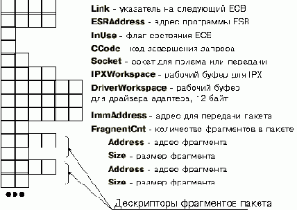       IPX, SPX, NETBIOS
