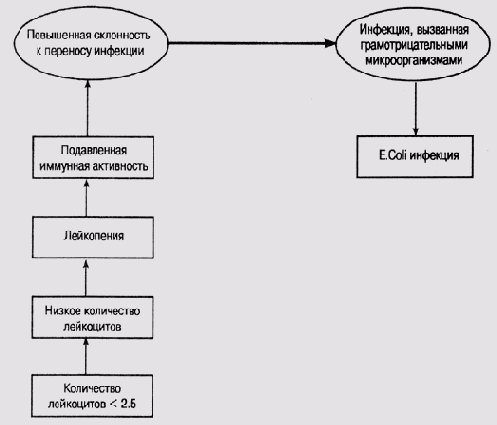 Введение в экспертные системы