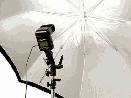 Научись снимать цифровым фотоаппаратом